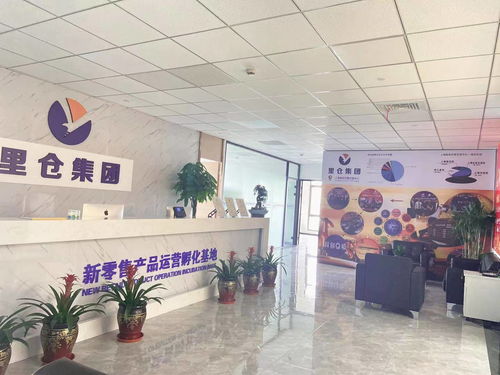 一站式投服行業服務 上海里倉科技集團的信息技術咨詢服務解析